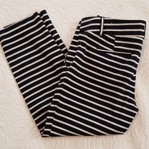 Loft womens dress pants the Rivera pant sz 6